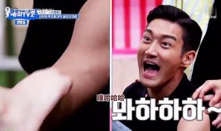 superjuniorm快乐大本营