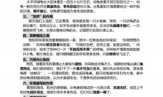 走月亮仿写第六段小练笔