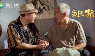 刘老根3药匣子第几集出来