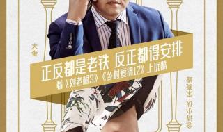 刘老根3药匣子第几集出来